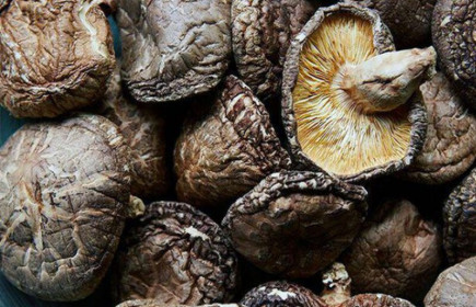 Nấm hương Nhật hơn 8 triệu đồng/kg, dân Hà Nội mua về xào rau
