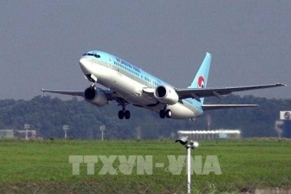 Nhiều hãng hàng không đình chỉ đường bay tới Afghanistan