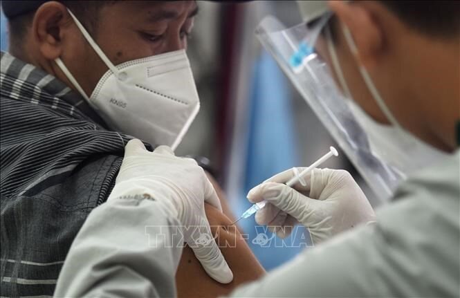 Doanh thu của các hãng sản xuất vaccine tăng trường mạnh thời đại dịch