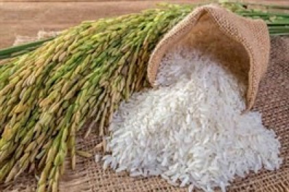TGG dự kiến tăng vốn lên 573 tỷ đồng, rót tiền vào Chứng khoán APG