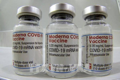 Anh cấp phép sử dụng vaccine của Moderna cho trẻ từ 12-17 tuổi