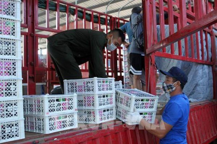 Tháo gỡ khó khăn cho doanh nghiệp trong bối cảnh đại dịch COVID-19