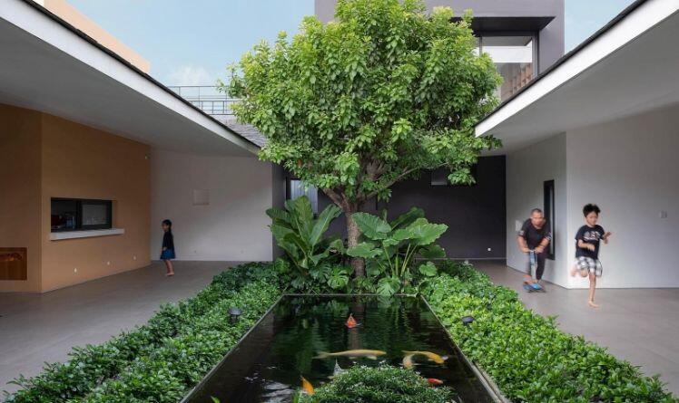 Cách bố trí tường thông minh giúp nhà cấp 4 có chỗ trồng cây, nuôi cá