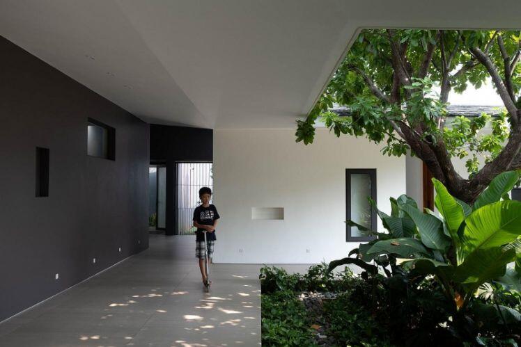 Cách bố trí tường thông minh giúp nhà cấp 4 có chỗ trồng cây, nuôi cá