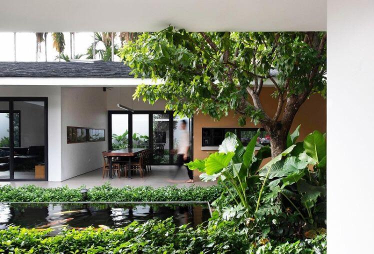Cách bố trí tường thông minh giúp nhà cấp 4 có chỗ trồng cây, nuôi cá