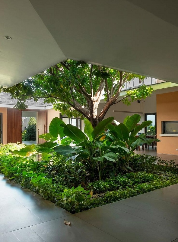 Cách bố trí tường thông minh giúp nhà cấp 4 có chỗ trồng cây, nuôi cá