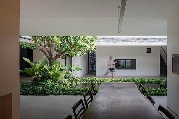 Cách bố trí tường thông minh giúp nhà cấp 4 có chỗ trồng cây, nuôi cá