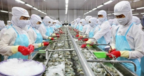 Phấn đấu đưa ngành thủy sản vào top 5 dẫn đầu thế giới vào năm 2030