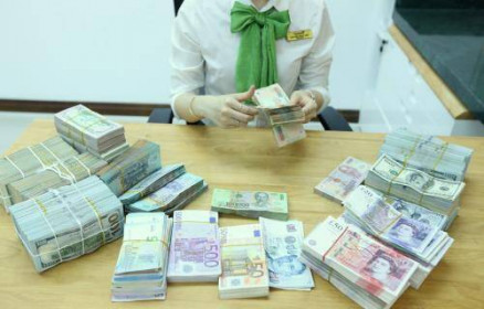 Chuyên gia nhận định: Tỷ giá có thể sẽ tăng vào cuối năm