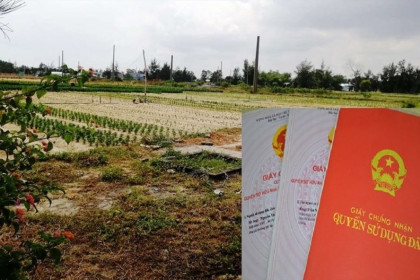 Thủ tục thu hồi đất sử dụng không đúng mục đích