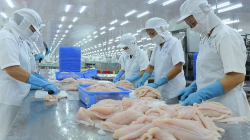 Năm 2030, Việt Nam phấn đấu đạt giá trị kim ngạch xuất khẩu thủy sản 14 - 16 tỷ USD