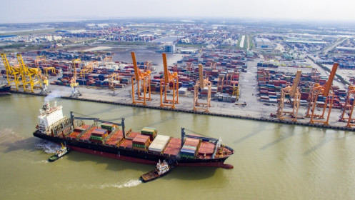 315 doanh nghiệp đạt doanh nghiệp xuất khẩu uy tín năm 2020