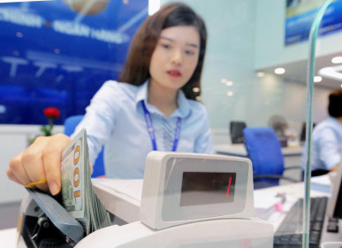 Chuyên gia nhận định: Tỷ giá có thể sẽ tăng vào cuối năm