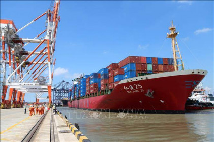 Quy hoạch mạng lưới đường bộ và Quy hoạch tổng thể hệ thống cảng biển Việt Nam