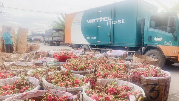 Nhiều hoạt động hỗ trợ người dân gặp khó khăn do Covid-19