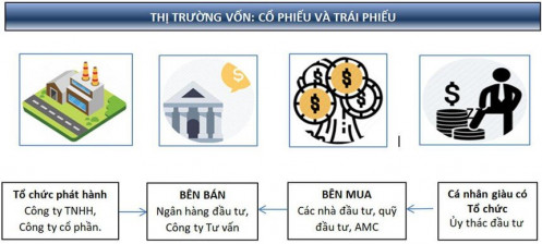 Tập đoàn Trí Việt (TVC) tạm ứng cổ tức 8% tiền mặt, chào bán 30% vốn cho nước ngoài