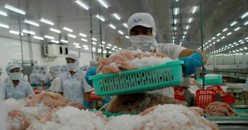 Đề xuất giảm 30% tiền điện cho doanh nghiệp chế biến thủy sản 6 tháng cuối năm