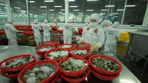 Doanh nghiệp thủy sản đề xuất giảm tiền điện và phí dịch vụ cảng