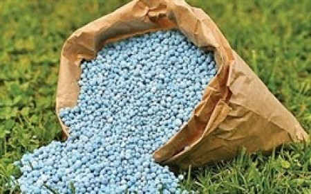 Do đâu Đạm Hà Bắc bị nghi ngờ về khả năng hoạt động liên tục?