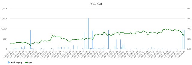 Pinaco: Nhóm cổ đông lớn mua ròng gần 1.5 triệu cp