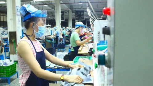 Thị trường lao động quý II năm 2021: Ảm đạm vì ảnh hưởng dịch bệnh Covid-19