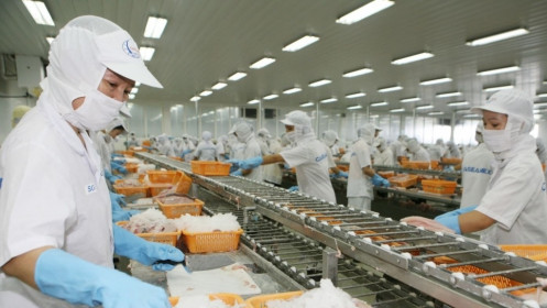 Hàng trăm nhà máy dừng sản xuất vì hết tiền chi “3 tại chỗ”