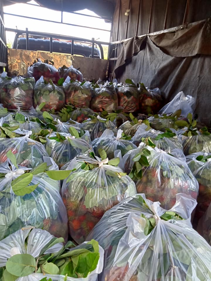 Chôm chôm chưa đến 5.000 đồng/kg, nhiều chủ vườn 'khóc ròng' vì Covid-19