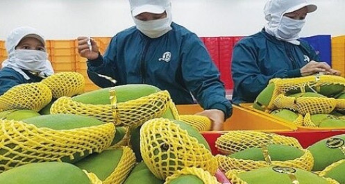 “Thông đường” cho doanh nghiệp xuất khẩu nông sản sang Trung Quốc