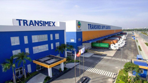 Transimex (TMS) muốn gom thêm cổ phiếu VNT và VNF