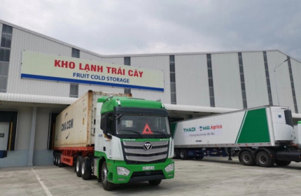 HAGL Agrico lỗ ròng hơn 300 tỷ đồng sau 9 tháng