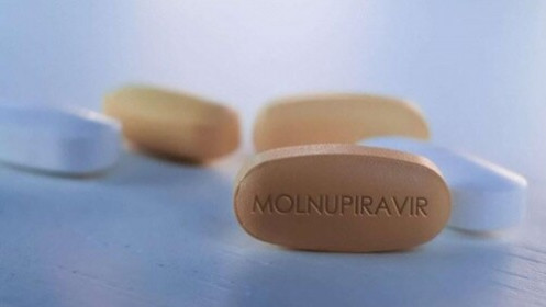 Thanh tra, xử lý vi phạm việc bán thuốc Molnupiravir tại các nhà thuốc