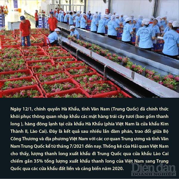 Nhịp sống kinh tế tuần từ 10-16/01