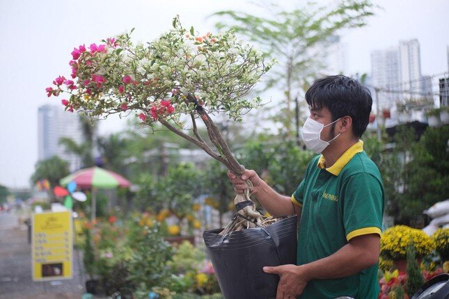 Giá hoa, cây cảnh ở TPHCM biến động mạnh trước Tết Nhâm Dần ảnh 4