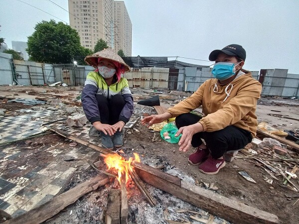 Hà Nội: Chủ nhân cặp quất lục bình “khủng” tiết lộ lý do không bán hàng độc