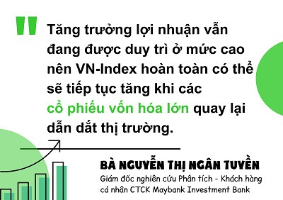 Dòng tiền sẽ quay lại cổ phiếu vốn hóa lớn trong năm 2022