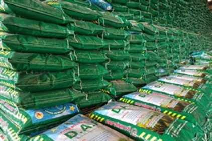 Giá vốn tăng khiến DDV giảm 42% lãi ròng quý 4/2021