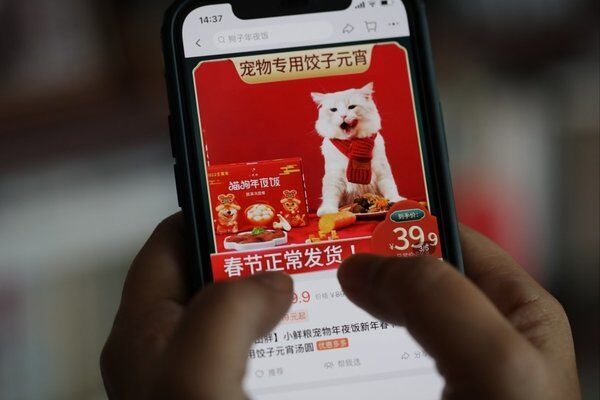 Giới trẻ Trung Quốc không ngại vung tiền đặt tiệc tất niên cho thú cưng