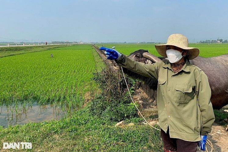 3 tỷ đồng không mua nổi lô đất ở quê: Mức đấu giá cao gấp 130 lần đền bù