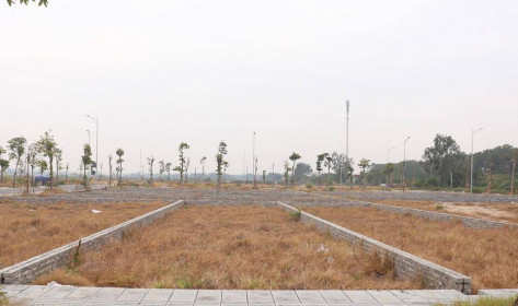 Phân lô bán nền rồi bỏ hoang: Hệ lụy khôn lường