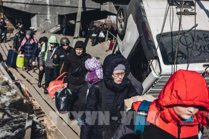 Khẩn trương hỗ trợ người Việt sơ tán an toàn khỏi thành phố Mariupol của Ukraine