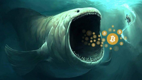 Giá Bitcoin hôm nay ngày 24/3: Cá voi "rục rịch" thức giấc, Bitcoin tiếp đà bay cao