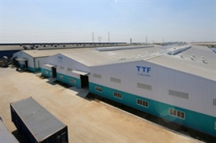 TTF báo lãi ròng hơn 15 tỷ đồng trong quý đầu năm