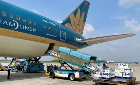 Nhật báo Nikkei: Vận tải hàng hóa đường hàng không của Việt Nam tăng tốc bất chấp đại dịch