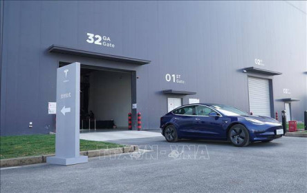 Tesla thu hồi 130.000 xe ô tô tại Mỹ do lỗi màn hình cảm ứng
