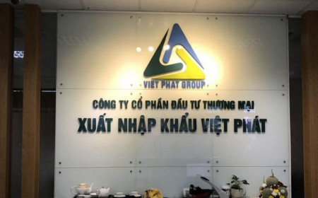 Việt Phát (VPG) dự kiến phát hành hơn 7,29 triệu cổ phiếu trả cổ tức năm 2021