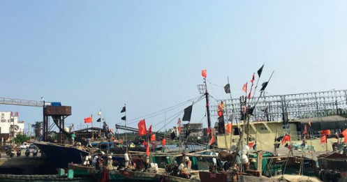 'Bộ tứ' sắp công bố sáng kiến đối phó đội tàu đánh bắt trái phép Trung Quốc
