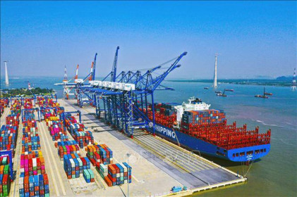Nguyên nhân khiến sản lượng hàng hóa qua cảng biển tăng trưởng chậm lại