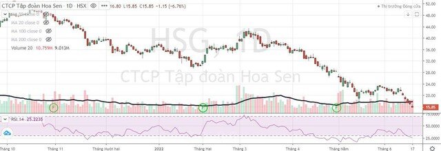 Hoa Sen (HSG): Cổ phiếu liên tục lao dốc, Công ty kéo dài thời gian nộp tiền mua cổ phiếu ESOP thêm 10 ngày ảnh 1