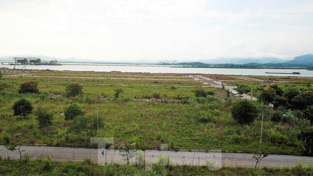 Khu đô thị gần 100ha đất vàng ở Quảng Ninh bỏ hoang, cỏ mọc um tùm ảnh 8