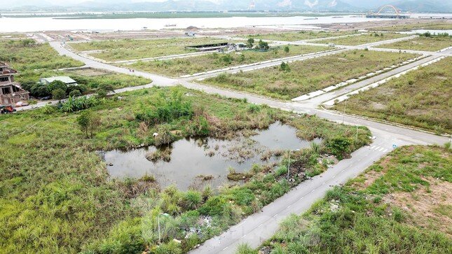 Khu đô thị gần 100ha đất vàng ở Quảng Ninh bỏ hoang, cỏ mọc um tùm ảnh 12